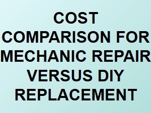 Professional Mechanic Repair or Diy Parts Swap?